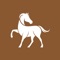 Manage your horses: Sayblake Horse Management is the perfect app if you share your horse with several people