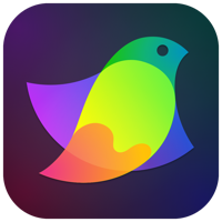 Amadine - Vector Graphics App