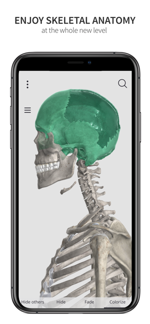 Anatomyka Skeleton(圖9)-速報App