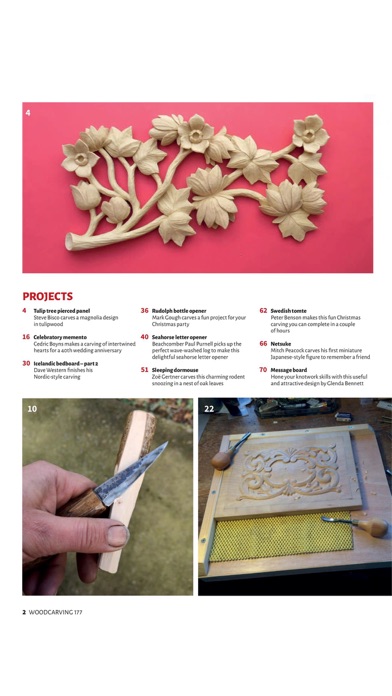 Woodcarving Magazine screenshot1