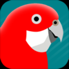 Gibbon Multimedia Pty Ltd - Pizzey and Knight Birds of Aus アートワーク