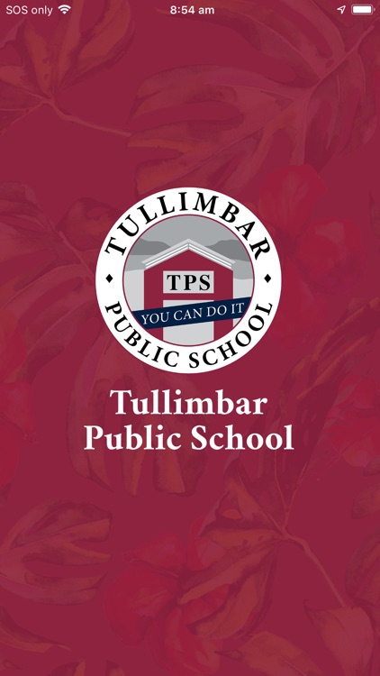 Tullimbar Public School