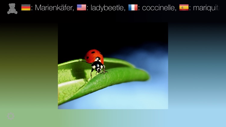 First Words - A Picture Book screenshot-4