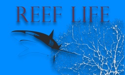 Reef Life TV