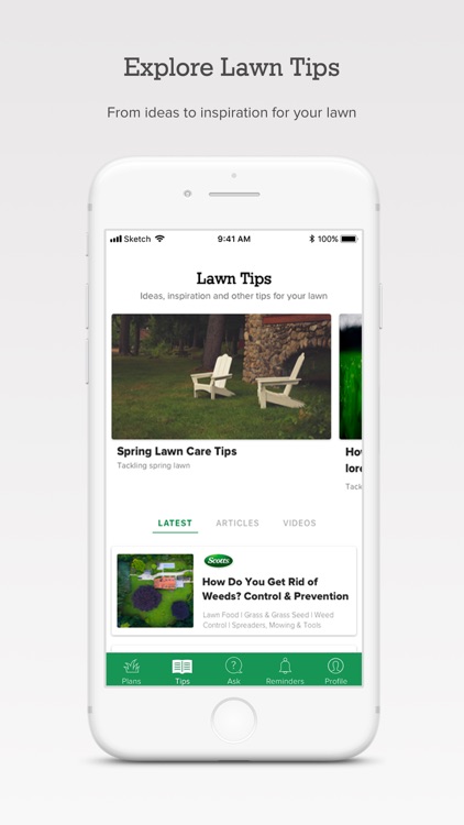 My Lawn: A Guide to Lawn Care