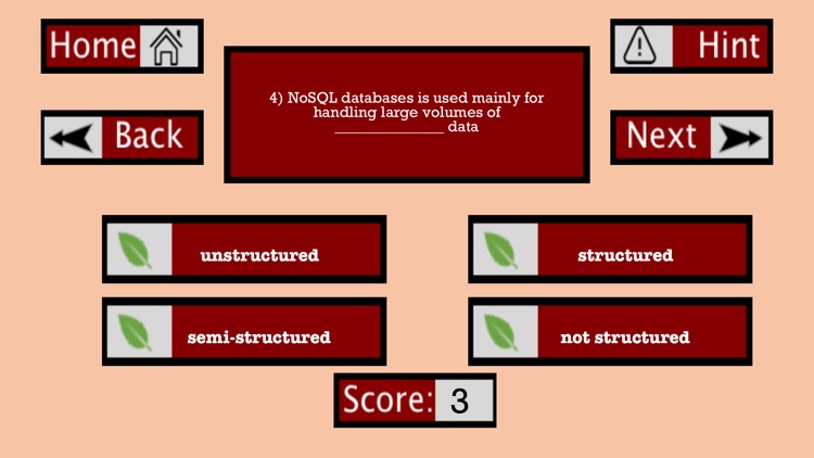 MongoDB Examination screenshot-3