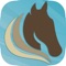 Web-based mobile application to facilitate the oversight of horse health and other stable management operations