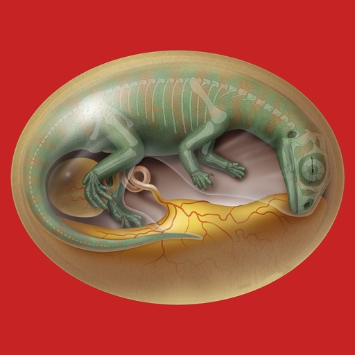 DinoEgg - Dino Egg