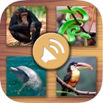 Animals’ sounds for kids – Jungle farm marine animals and pets