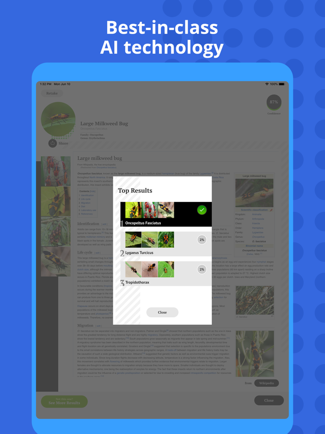 ‎Insect Identification Screenshot