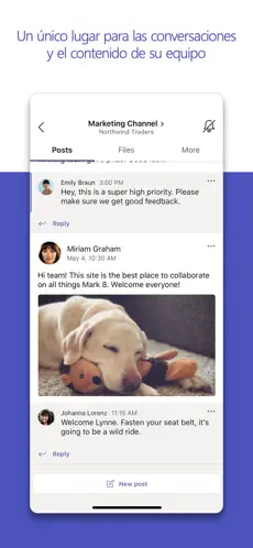 Captura de Pantalla 5 Microsoft Teams iphone