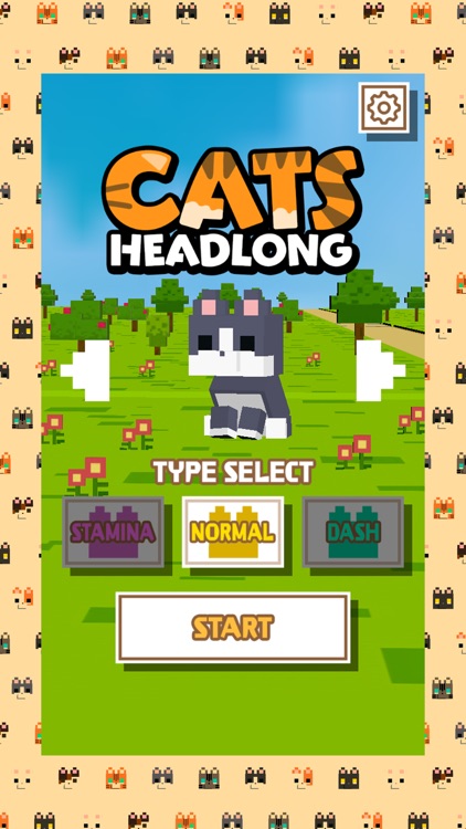 Cats Headlong