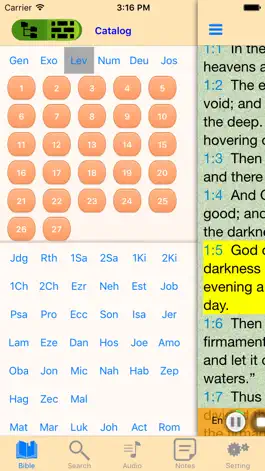 Game screenshot Swedish-English Audio Bible apk