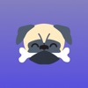 Guinea Pug - iPhoneアプリ