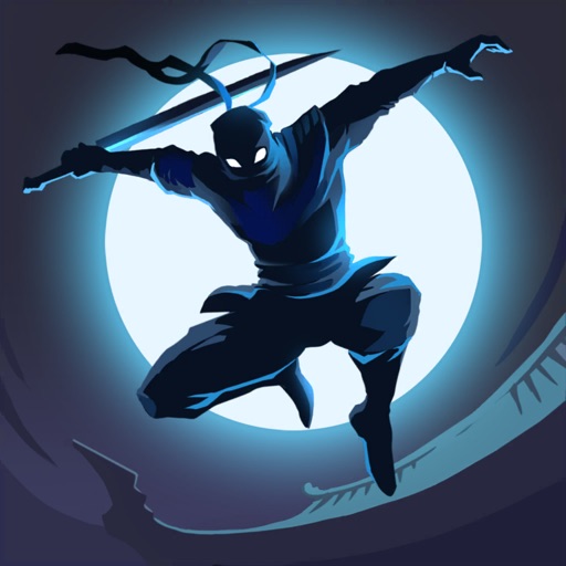 Shadow Knight - The Dark Fight