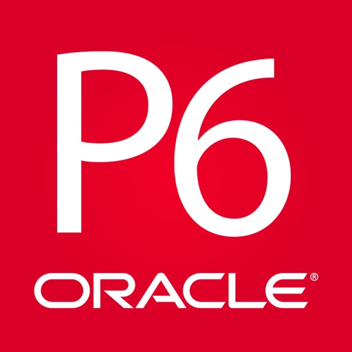 Oracle Primavera P6 License