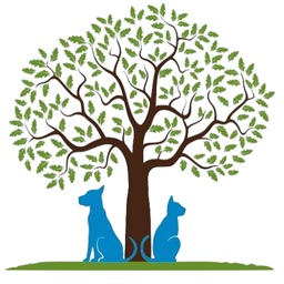 Oak Knoll Vet Moline