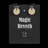 Icon Magic Reverb : Audio Unit EFX