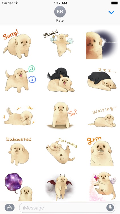 Cute Golden Retriever Puppy