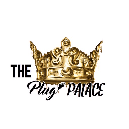 The Plug Palace Icon