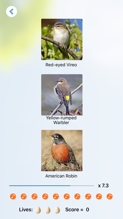Chirp! Bird Songs & Calls USA screenshot-6