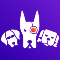 Статистика и гости для ВК