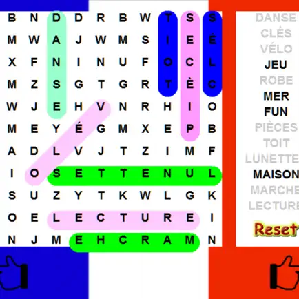 French Word Search - Language Cheats