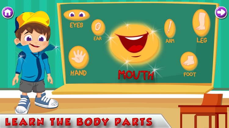 Learn Human Body Parts