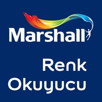 Marshall Renk Okuyucu