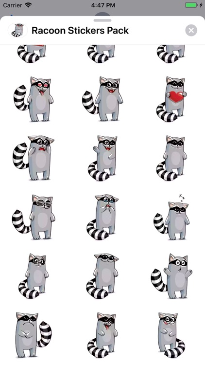 Racoon Stickers Pack