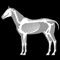 3D Horse Anatomy Soft...