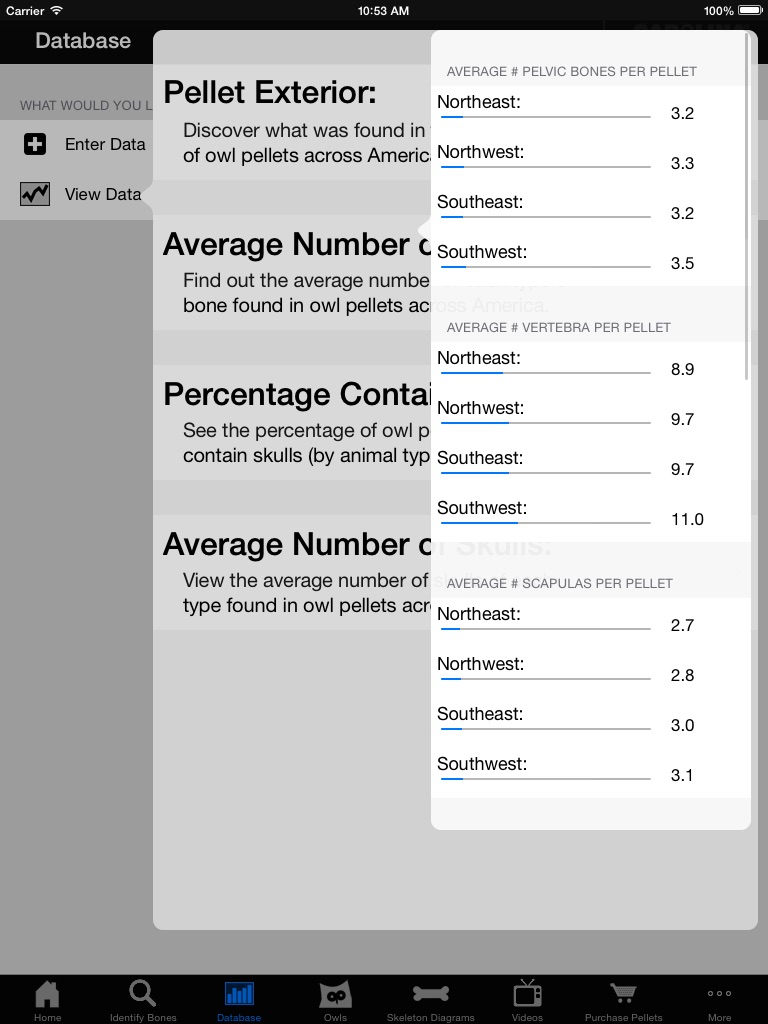 Owl Pellet Activities HD screenshot 3