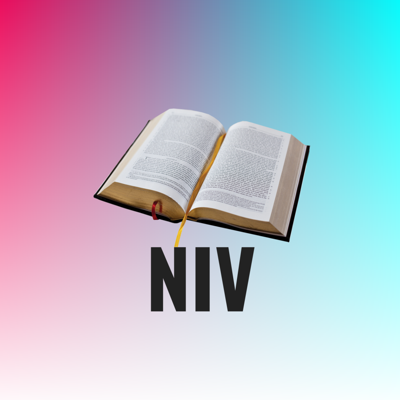 Holy Bible NIV