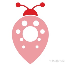 PURE-LADYBUG