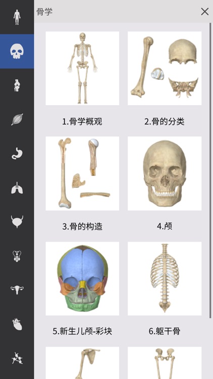 人卫3D系统解剖学