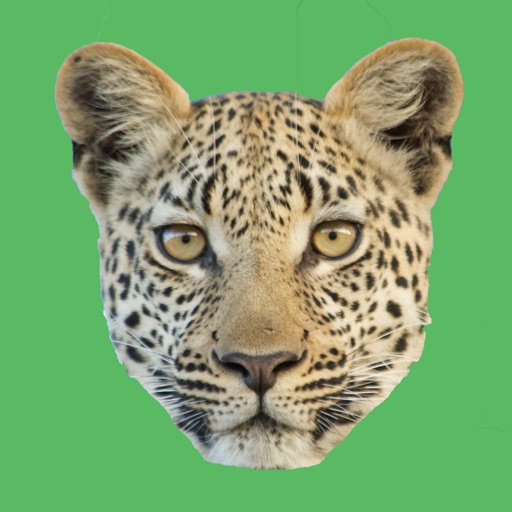 Travel Africa @ Roho Ya Chui