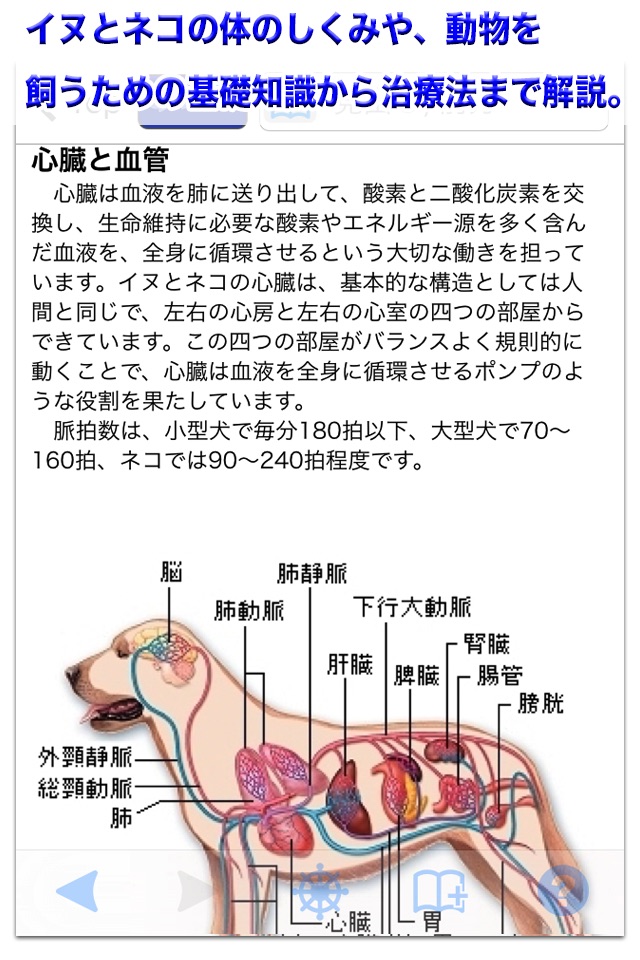 イヌ・ネコ家庭動物の医学大百科 改訂版 screenshot 3