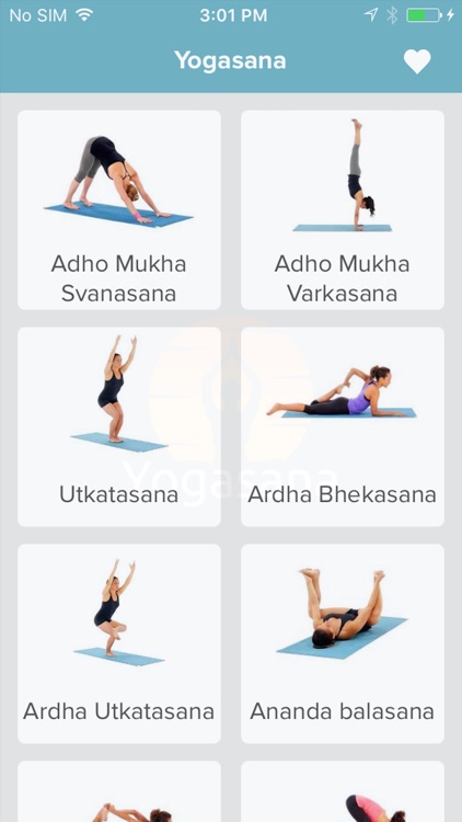 Infographic 8 Yoga Poses For Workout In Concept Of Practice Daily In Flat  Design. Woman Exercising For Body Stretching. Yoga Posture Or Asana For  Fitness Infographic. Flat Cartoon Vector Illustration Royalty Free