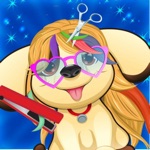 Animal Hairdo Makeover Stylist