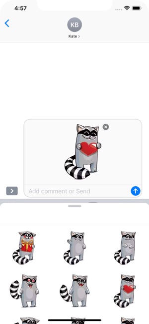 Racoon Stickers Pack(圖8)-速報App