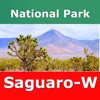 Saguaro National Park (WEST)