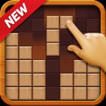 Wood Sudoku Block Puzzle 333