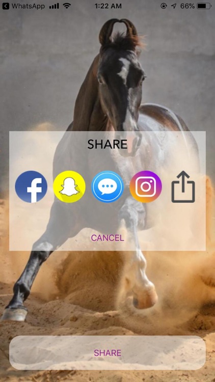 Horses - A Gift App screenshot-3