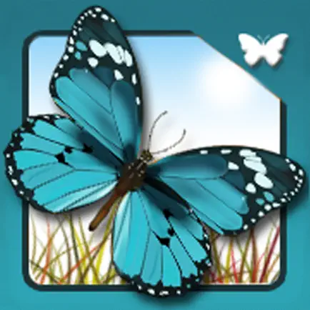 Butterfly Quest Читы