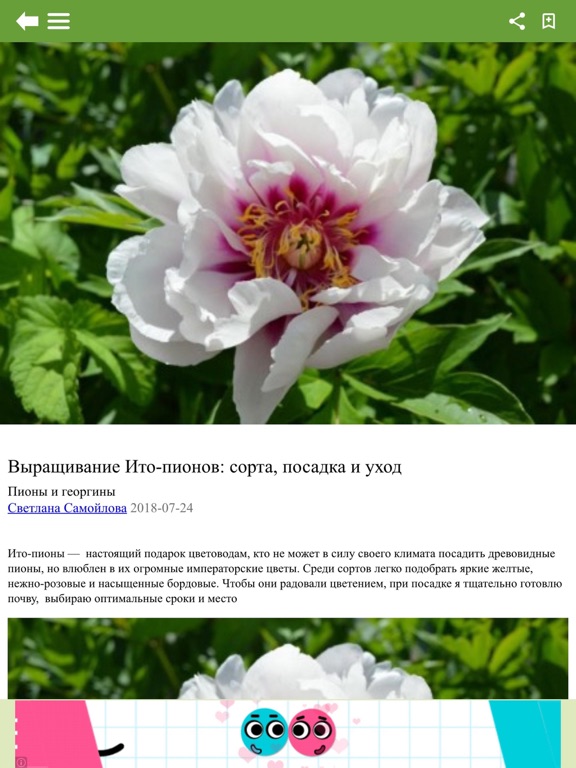 Screenshot #4 pour Антонов сад