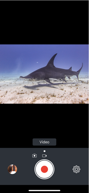 SeaLife Micro 3+(圖8)-速報App