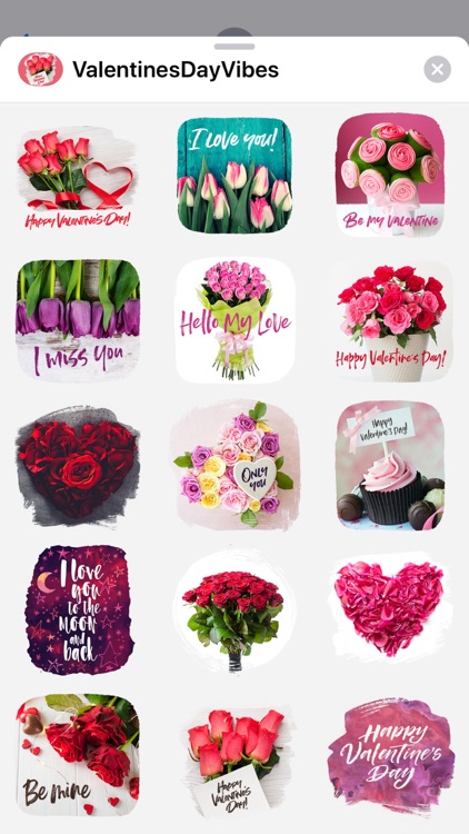Valentine's Day Vibes