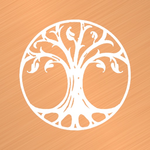 Copper Branch USA icon