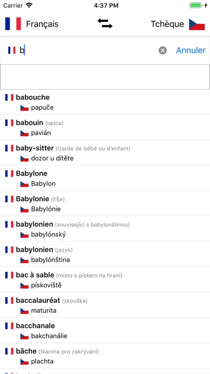 Dictionnaire Tchèque/Français screenshot-3