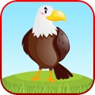 Top 49 Education Apps Like Bird Sounds Fun Learning Games - Best Alternatives